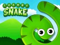 遊戲Frenzy Snake