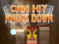 遊戲Can Hit Knock down