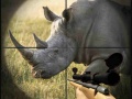 遊戲Wild Rhino Hunter
