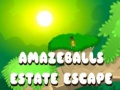 遊戲Amazeballs Estate Escape