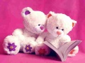 遊戲Cute Teddy Bears Slide