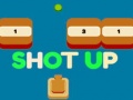 遊戲Shot Up