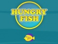 遊戲Hungry Fish