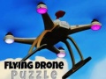 遊戲Flying Drone Puzzle