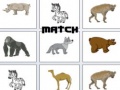 遊戲Match