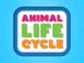 遊戲Animal Life Cycle