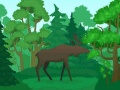 遊戲Wild Animals Coloring