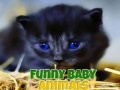 遊戲Funny Baby Animals