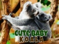 遊戲Cute Baby Koala Bear