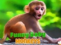 遊戲Funny Baby Monkey