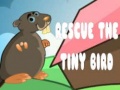 遊戲Rescue The Tiny Bird