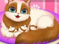 遊戲Cute Kitty Pregnant