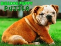 遊戲Bulldog Puppy Puzzle