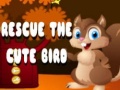 遊戲Rescue The Cute Bird
