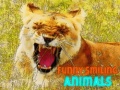 遊戲Funny Smiling Animals