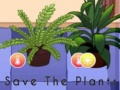 遊戲Save the Plants