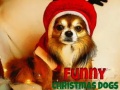 遊戲Funny Christmas Dogs