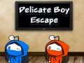 遊戲Delicate Boy Escape