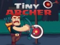 遊戲Tiny Archer