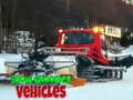 遊戲Snow Groomer Vehicles