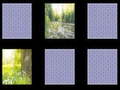 遊戲Nature Memory