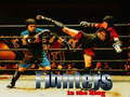 遊戲Fighters in the Ring