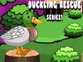 遊戲Duckling Rescue Series1