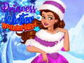 遊戲Princess Winter Wonderland