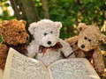 遊戲Cuddly Three Teddy Jigsaw