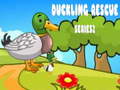 遊戲Duckling Rescue Series2