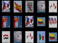 遊戲Memorize the flags