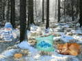 遊戲Winter Wonderland Forest Adventure