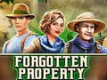 遊戲Forgotten Property