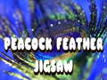 遊戲Peacock Feather Jigsaw