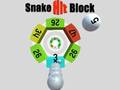 遊戲Snake Hit Block