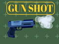 遊戲Gun Shoot