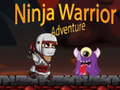 遊戲Ninja Warrior Adventure
