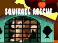 遊戲Squirrel Rescue