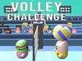 遊戲Volley Challenge