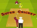 遊戲Super Cricket 