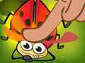 遊戲Insect Crush