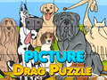 遊戲Picture Drag Puzzle