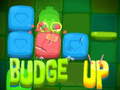 遊戲Budge Up