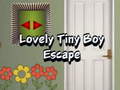 遊戲Lovely Tiny Boy Escape