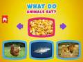 遊戲What Do Animals Eat?