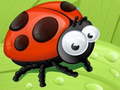 遊戲Ladybug Slide