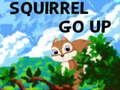 遊戲Squirrel Go Up