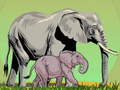 遊戲Wild Animals and Their Babies