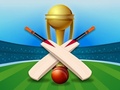 遊戲Cricket Champions Cup