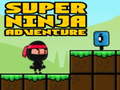 遊戲Super Adventure Ninja
